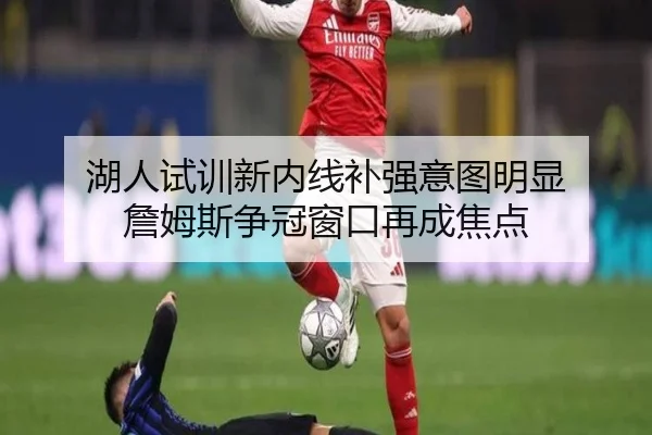 湖人试训新内线补强意图明显 詹姆斯争冠窗口再成焦点