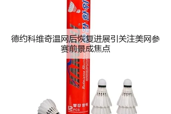 德约科维奇温网后恢复进展引关注美网参赛前景成焦点